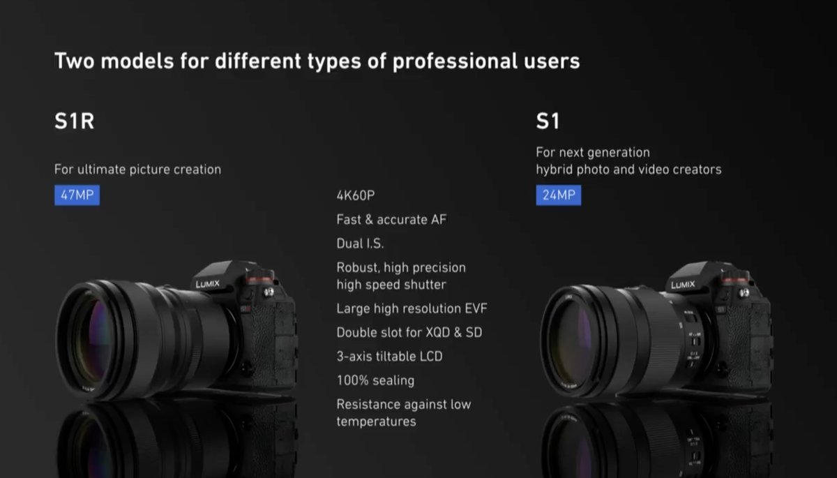 Panasonic Lumix S1 and S1R chart