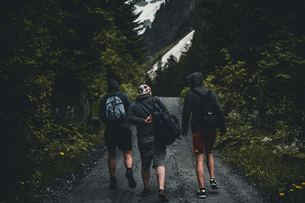 friends go hiking in the evergreens