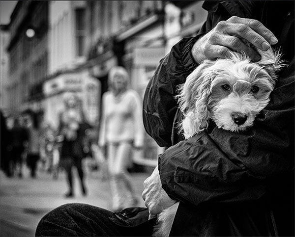 Man with dog