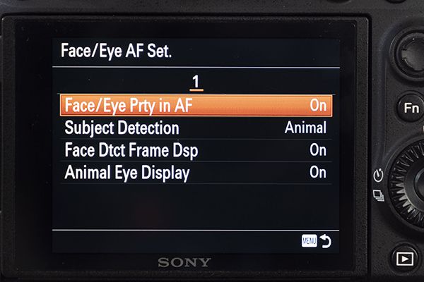 Sony Eye AF setup instructions step 2