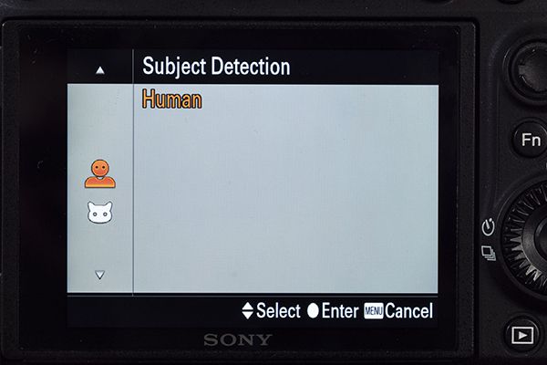 Sony Eye AF setup instructions step 3