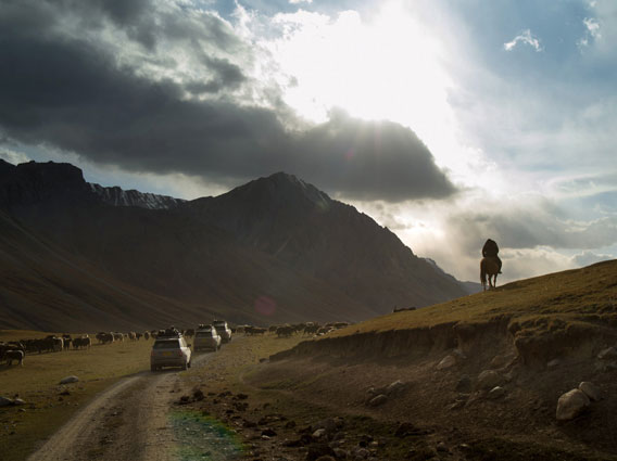 13. Taken through the windscreen of our support Discovery 4, I saw the horseman with his sheep in the distance and waited for the perfect composition before taking the shot. Pentax 645D, 55-110 f5.6