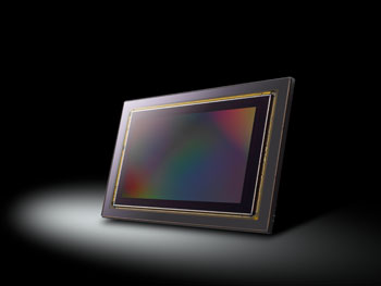 Panasonic S1R Image Sensor