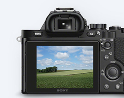 Sony PCK-LM16 - Protect your α7/α7R LCD screen