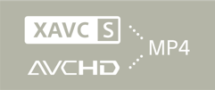 Sony CyberShot DSC-RX100 III - Dual video recording