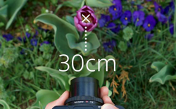 Sony Cyber-Shot DSC-RX100 III - Versatile lens for macro capabilities