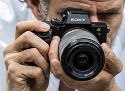 Sony A7 II - A formula for beauty