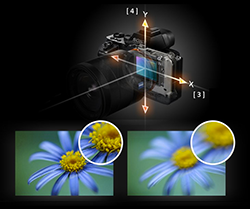 Sony a7 II - Horizontal [ 3 ] and vertical [ 4 ] shift compensation