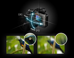 Sony a7 II - Pitch [ 1 ] and yaw [ 2 ] compensation