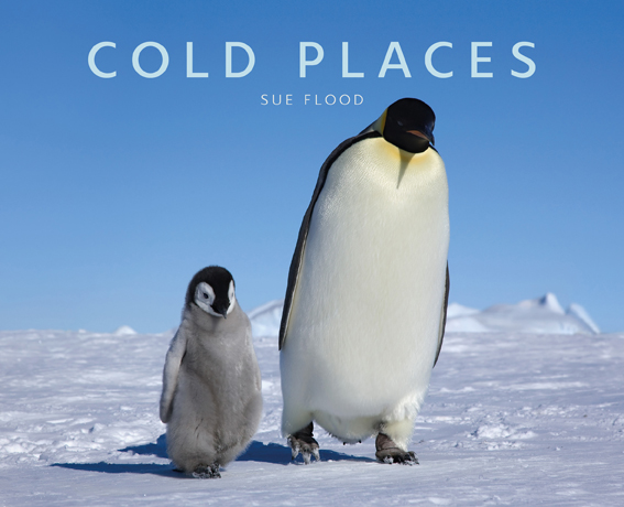 Sue Flood Cold Places Book