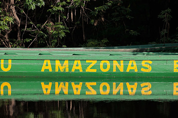 Sue Flood - The Amazon