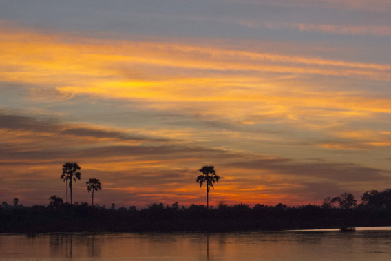 Sue Flood - Botswana