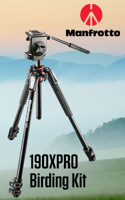 Manfrotto 190XPRO Birding Kit