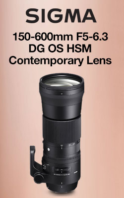 Sigma 150-600mm F5-6.3 DG OS HSM Contemporary Lens