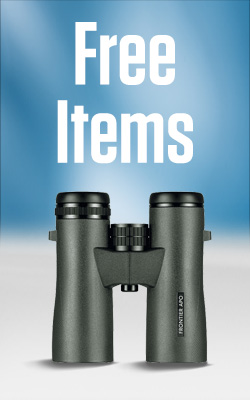 Free Items