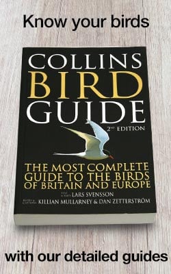 Collins Bird Guide Second Edition Paperback