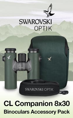 Swarovski CL Companion 8x30 Binoculars - Green with Wild Nature Accessory Pack