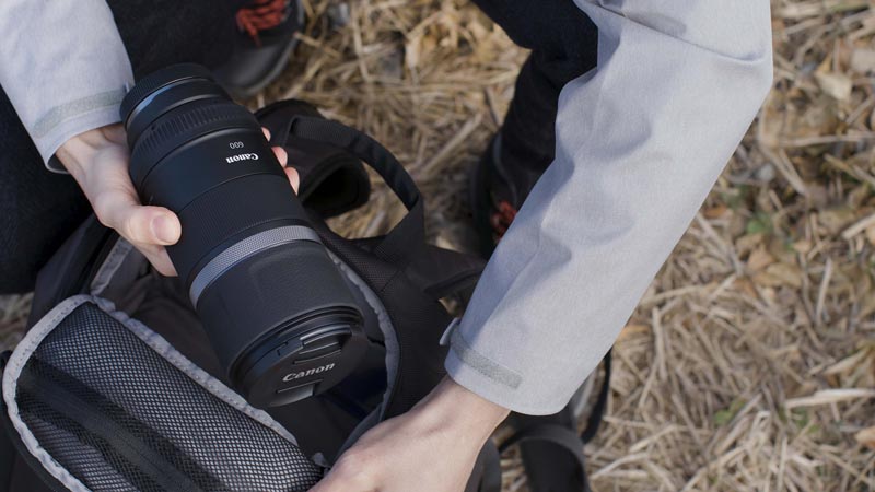 Canon RF 600mm Lens in camera bag