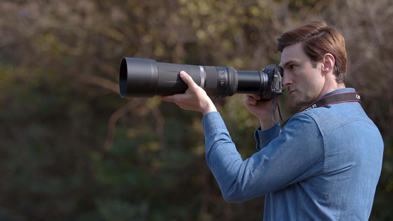 Canon RF 800mm Lens in action