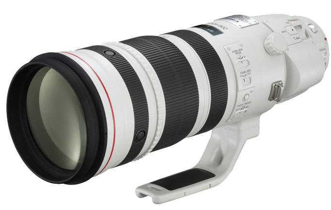 Canon EF 200-400mm f4L IS USM Extender 1.4x