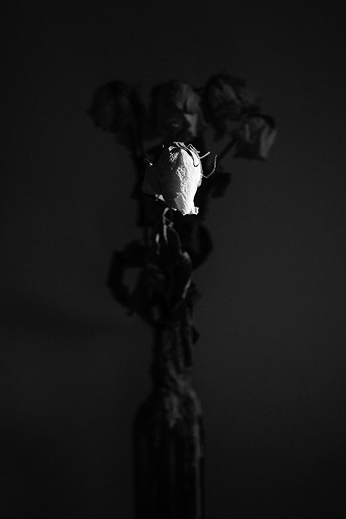 Tiffany Roubert Sample Image 1