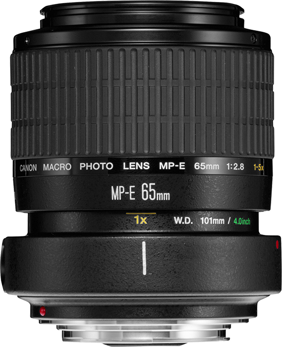 Canon MP-E 65mm f2.8 Macro Lens