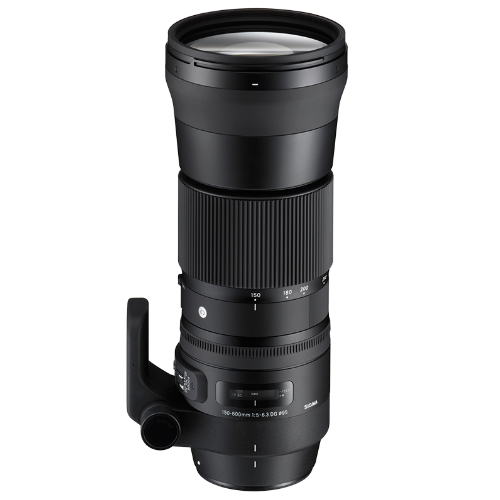 Sigma 150-600mm F5-6.3 DG OS HSM | Contemporary Lens - Canon