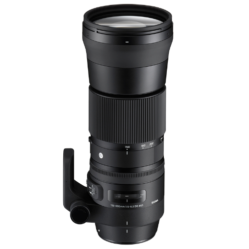 Sigma 150-600mm F5-6.3 DG OS HSM | Contemporary Lens - Nikon