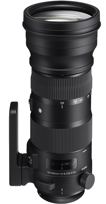 Sigma 150-600mm F5-6.3 DG OS HSM | Sport Lens - Canon