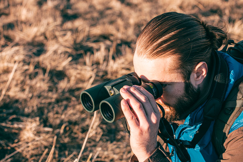 Vanguard VEO ED 10X42 Binoculars