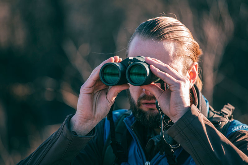 Vanguard VEO ED 10X42 Binoculars