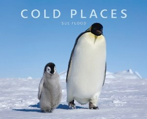 Cold Places - Sue Flood 