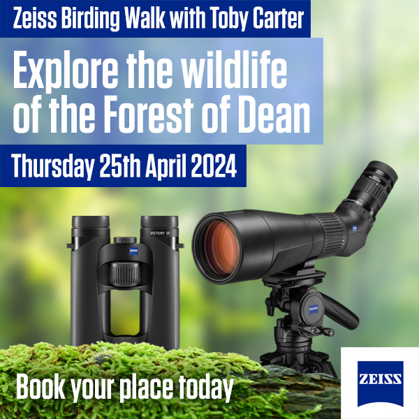 Zeiss Birding Walks with Toby Carter and Clifton Cameras Ticket - Afternoon