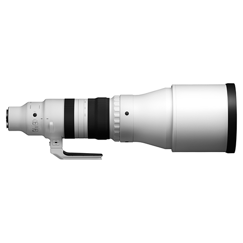 Sigma 300-600mm F4 DG OS | Sports Lens - E Mount