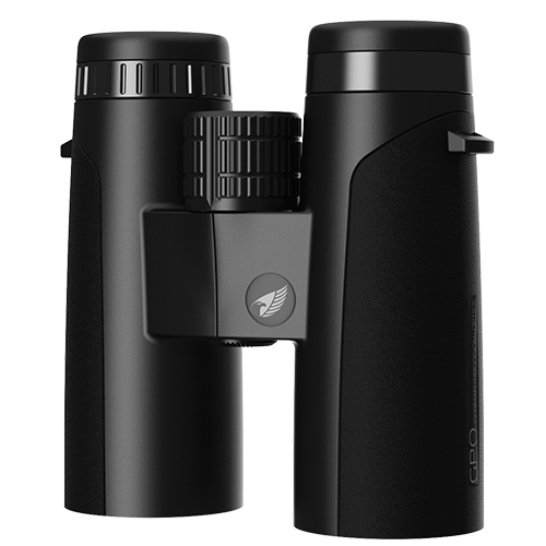 GPO Passion ED 10x42 Binoculars - black/anthracite