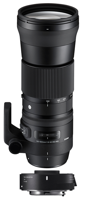 Sigma 150-600mm F5-6.3 DG OS HSM | Contemporary lens inc TC-1401 1.4x Converter Kit - Canon