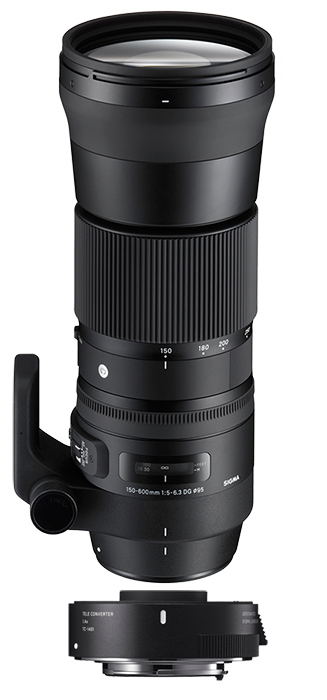 Sigma 150-600mm F5-6.3 DG OS HSM | Contemporary lens inc TC-1401 1.4x Converter Kit - Nikon