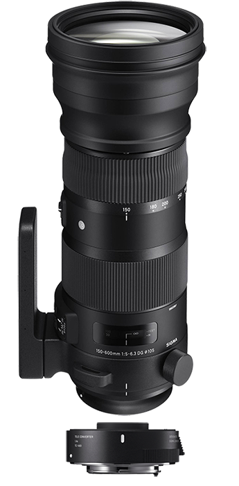 Sigma 150-600mm F5-6.3 DG OS HSM | Sports lens inc TC-1401 1.4x Converter Kit - Sigma